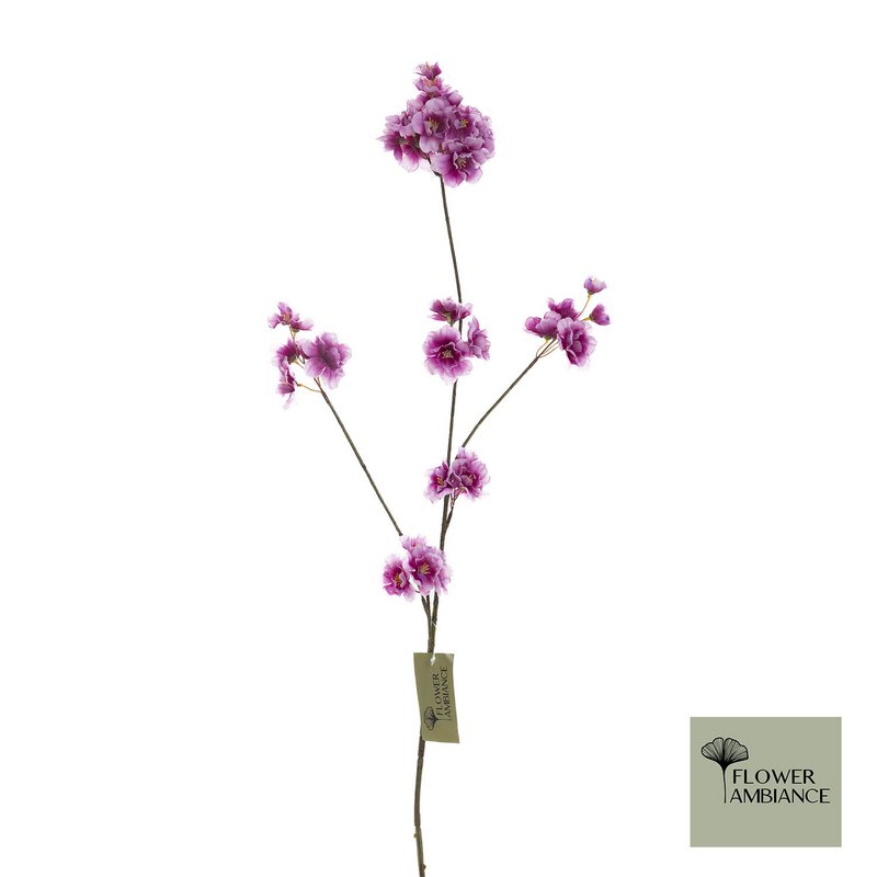 Prunus malaga spray new beauty 84cm