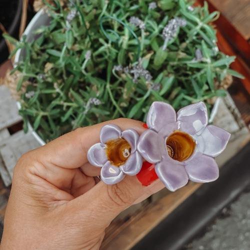 Campanula + bastone