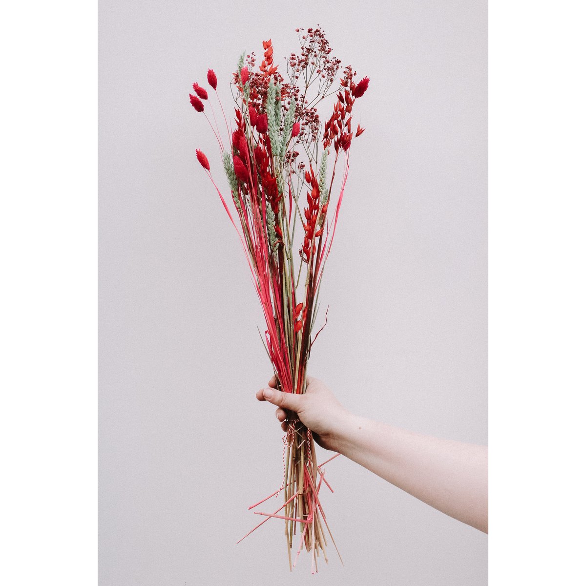 Droogboeket - Red Devil