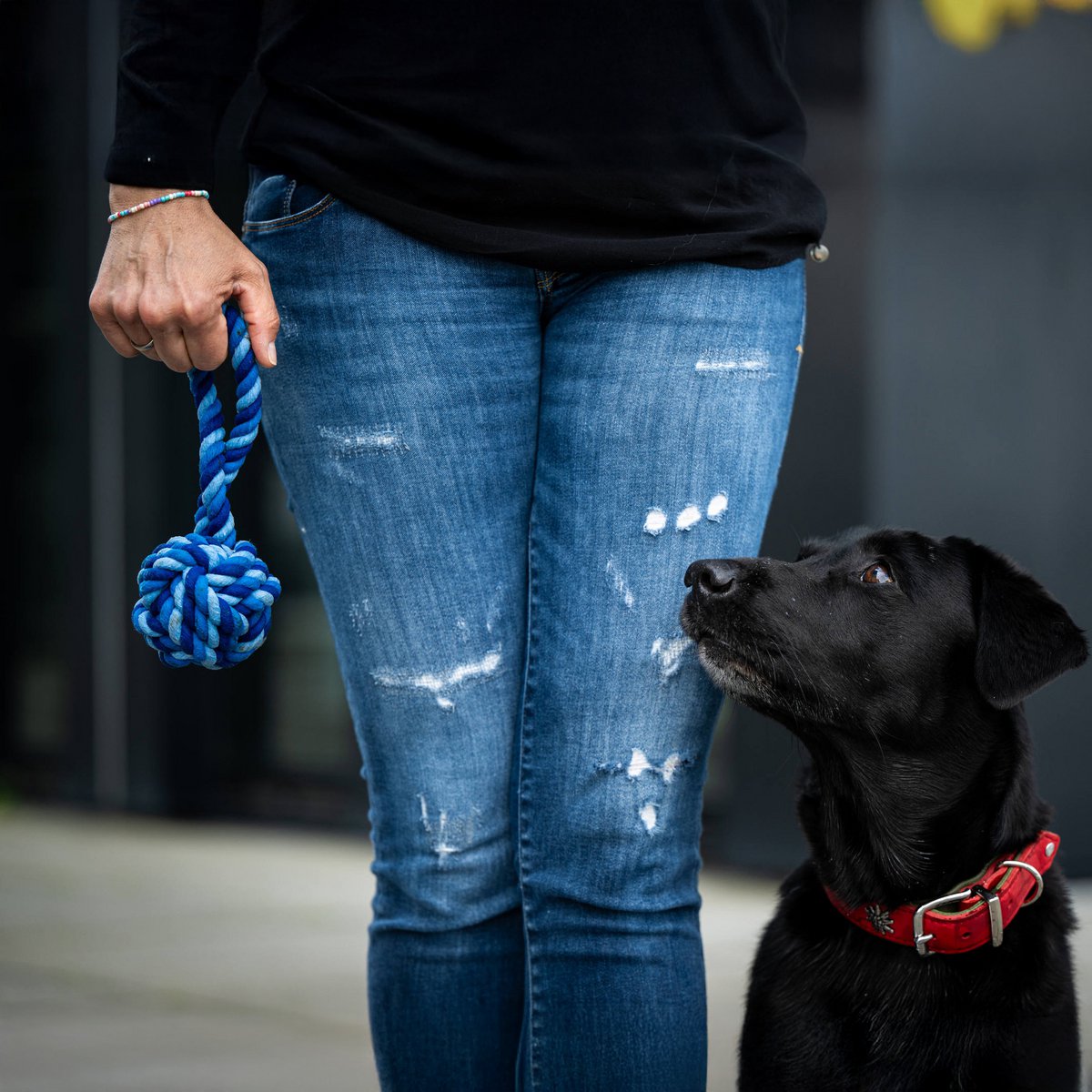 Maxi sling ball - cult toy for dogs
