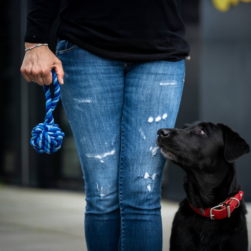 Maxi sling ball - cult toy for dogs