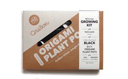 Kit Urban Jungle - Sumi Black con semillas de Hierbas