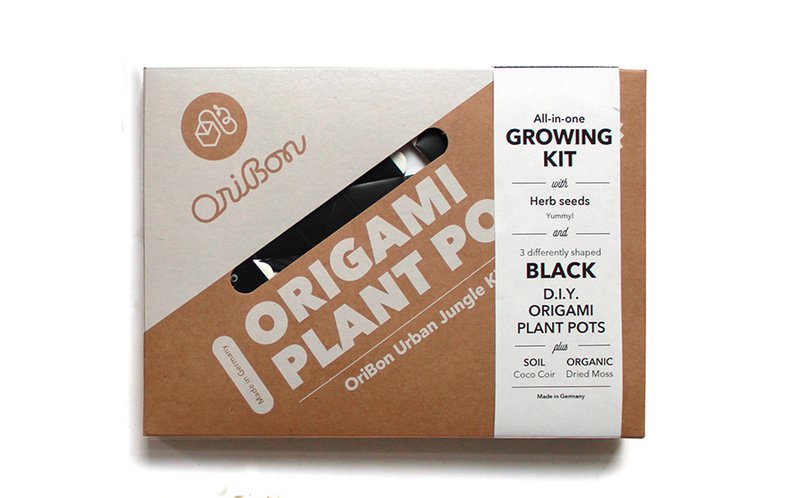 Kit Urban Jungle - Sumi Black con semillas de Hierbas