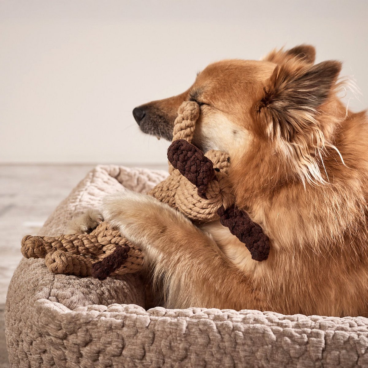 Doggy Dog - giocattolo cult per cani