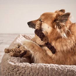 Doggy Dog - kultlegetøj til hunde