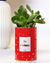 Jeg elsker dig gylden - Cactus