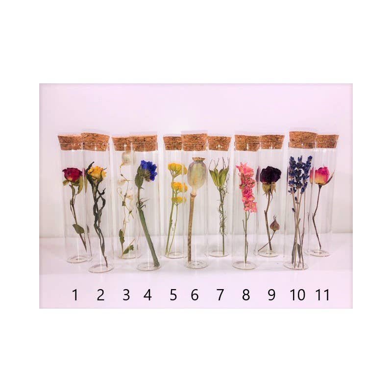 TUBE 10 CM WITH DRIED FLOWER - Gift