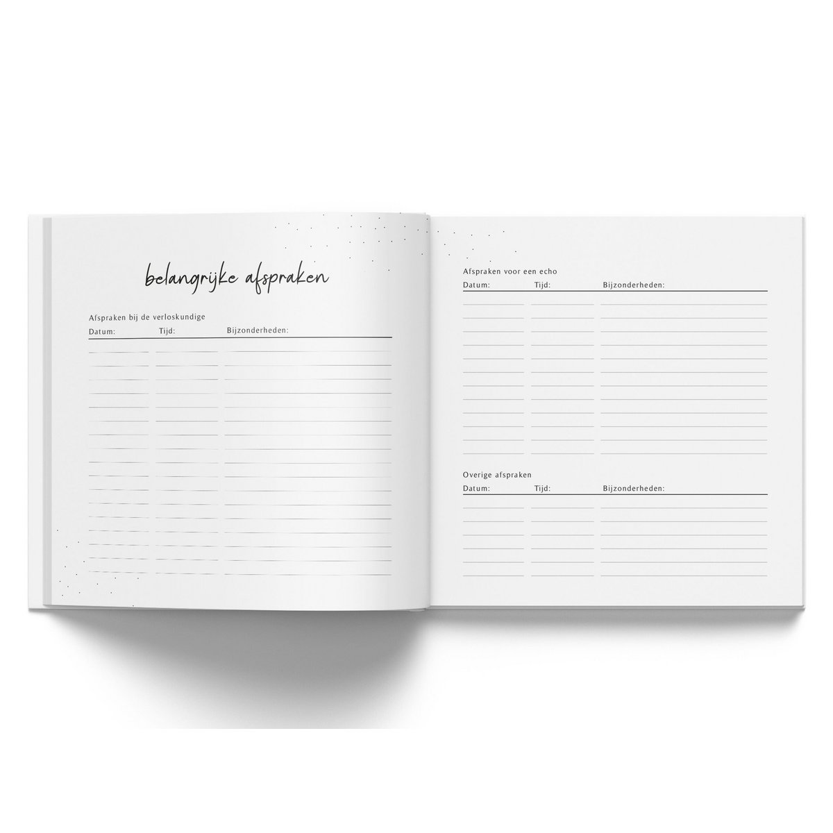 Fyllbooks mi diario de nueve meses