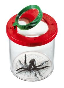 Insectenloep