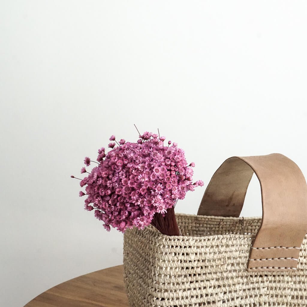 Glixia in diversity: Colorful dried flowers for creative decoration