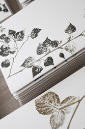 Sølv Birch II | En dag i skoven | Naturinspirerede lykønskningskort