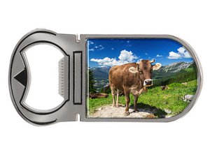 Metal magnet capsule lift cow on alm 9x4cm