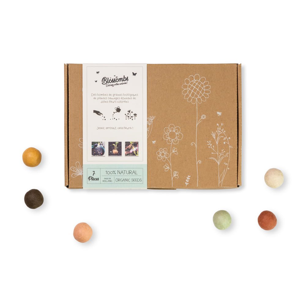 Kleine Geschenkbox mit 7 Samenbomben