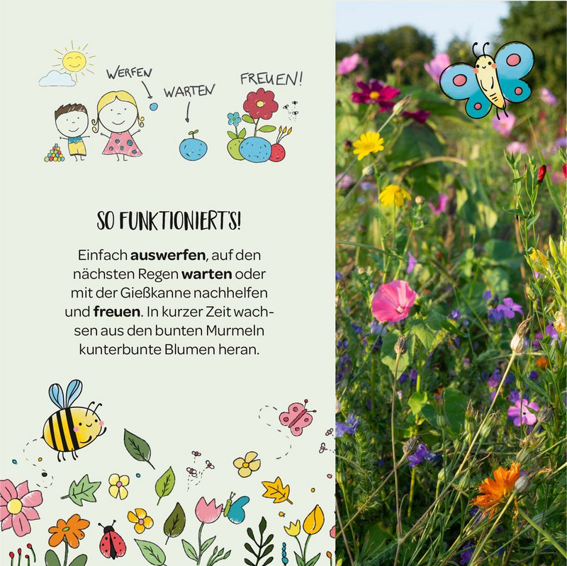 1er Blumenmurmel 'Ellas Schmetterlingswiese'