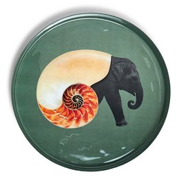 Shellephant rund bakke