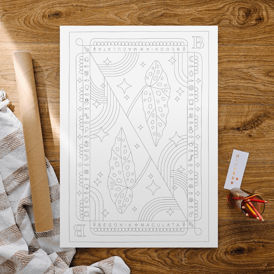 Begonia Maculata Coloring Poster 50x70 cm