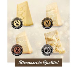 Parmigiano Reggiano DOP - 24 meses de crianza precio/ud