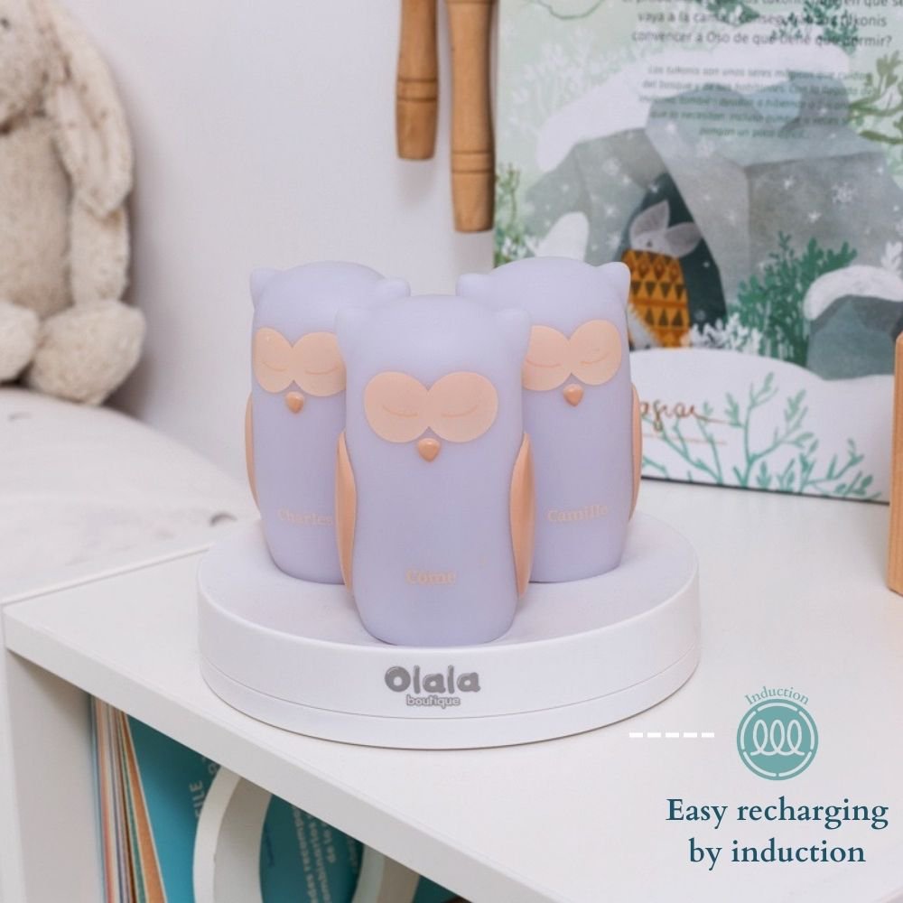 Path of Light - Côme, Charles & Camille Owls - Inductie Opladen - Wit