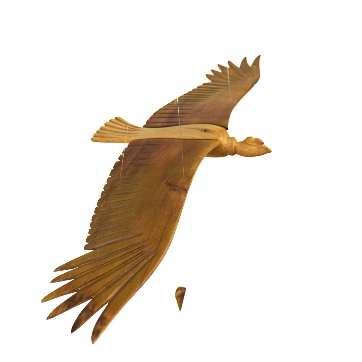 Condor