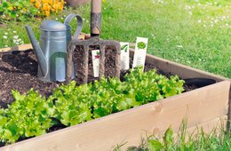 KIT PLASTIQUE RETRACTABLE ETIQUETTE POTAGER