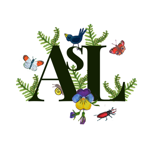 Trendige A6-Blumenkarten | Nachhaltige Sommer-Stiefmütterchen-Postkarten | Bunte Kunstgrußkarten für Erwachsene