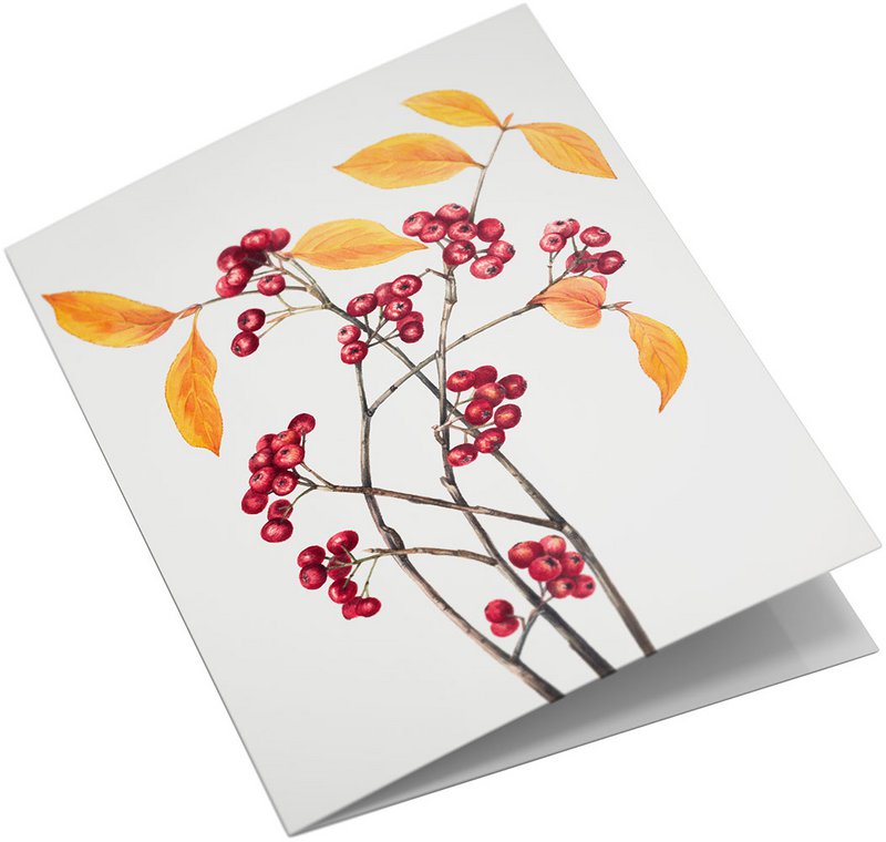 Lykønskningskortsæt Vilde blomster