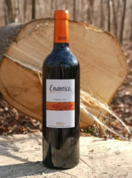Crianza red wine D.O.Ca. Rioja Enantico