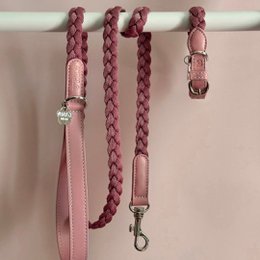 Braid Dog Collar - Petal