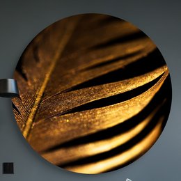 Pluma de oro