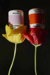PANTONE MACCHIATO CUP