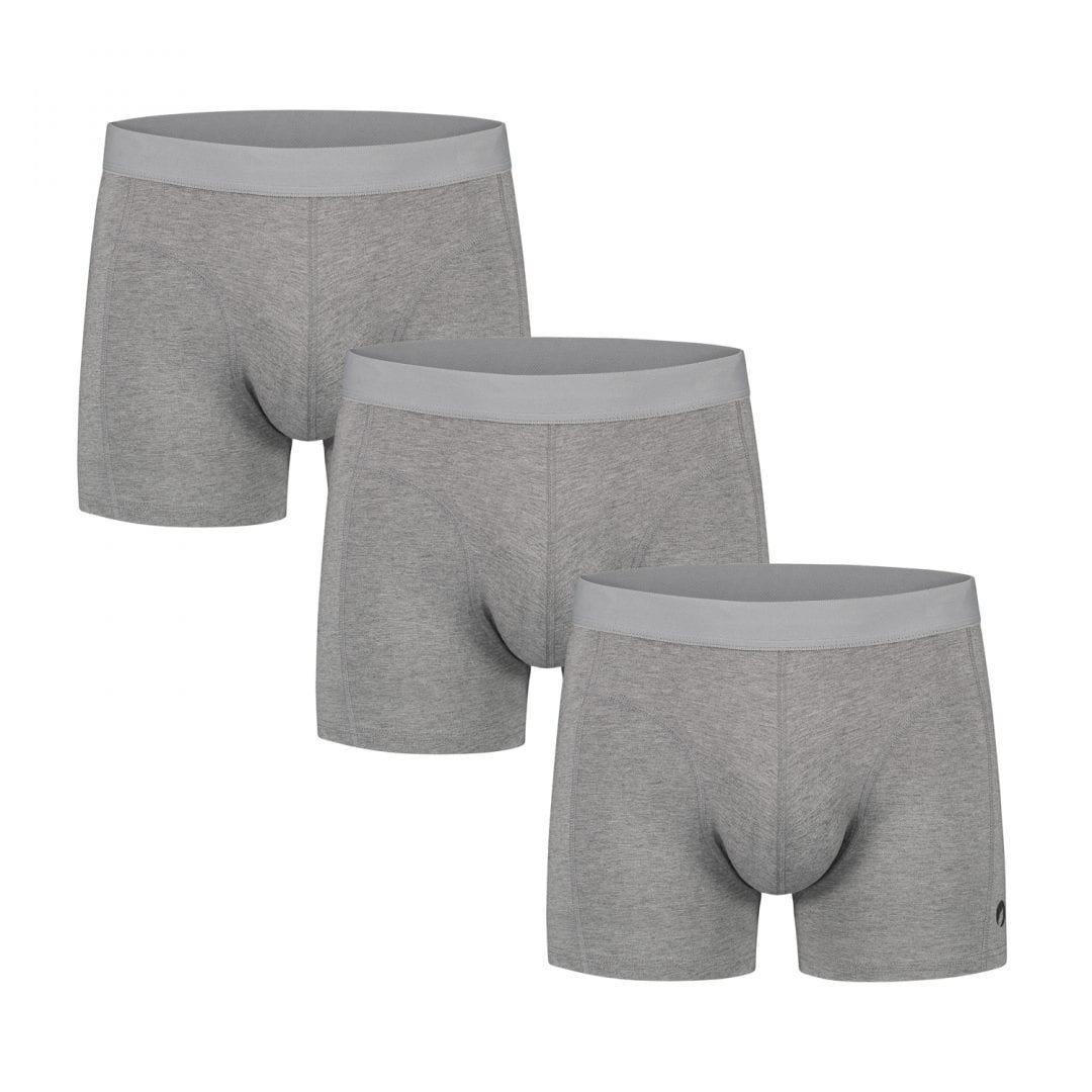 Bambocks bamboe Boxershorts 3-pack grijs