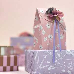 Cadeaudoosjes '25 - maat M