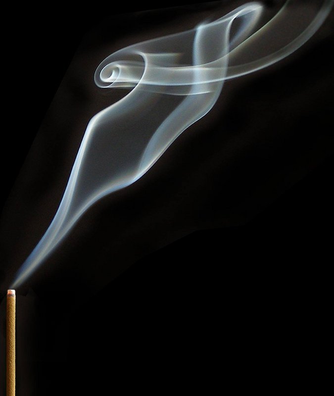 Christmas gift - Tokusen Sagano (Sandalwood and Agarwood) - incense sticks