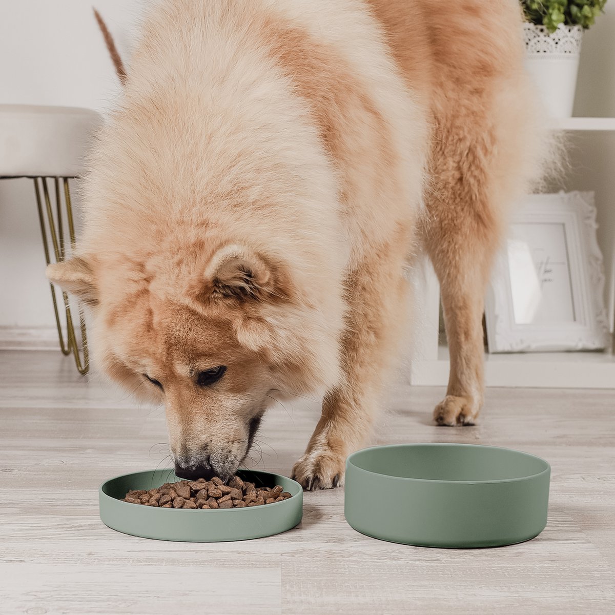ne&no®  Silkon Futternapf mit Deckel - 3 in 1 für Hunde und Katzen