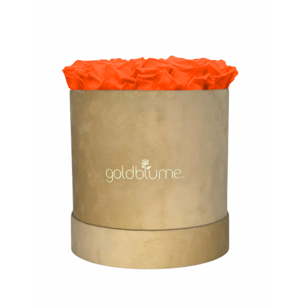 Colección Terciopelo Beige