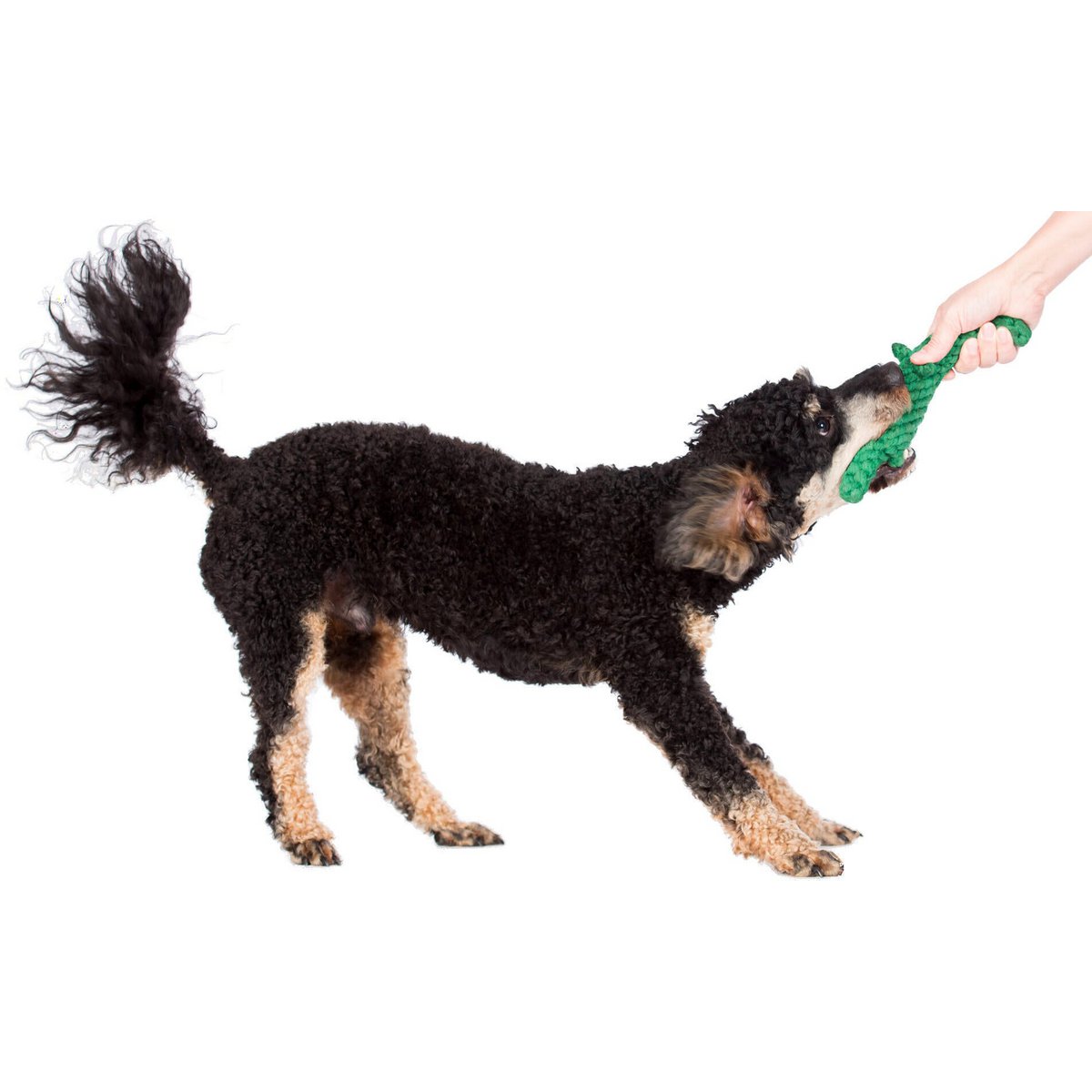 Kalli Crocodile - giocattolo cult per cani