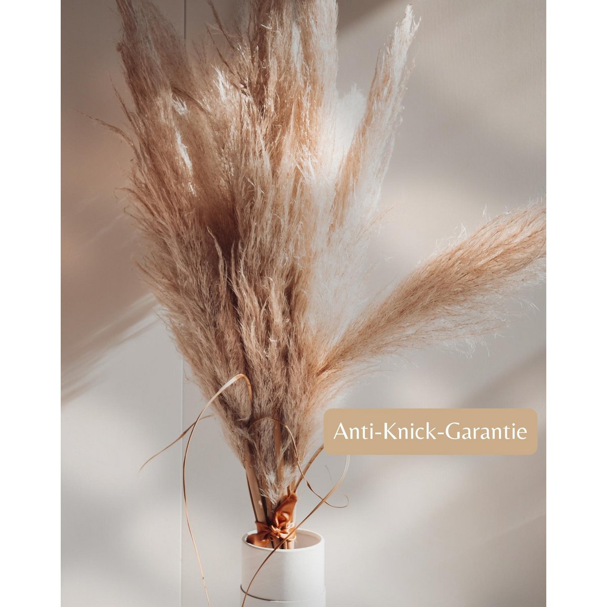 Pampagras groot beige 120 cm