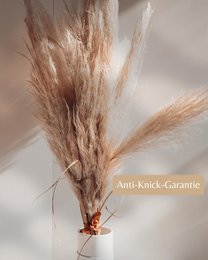 Erba di pampa grande beige 120 cm