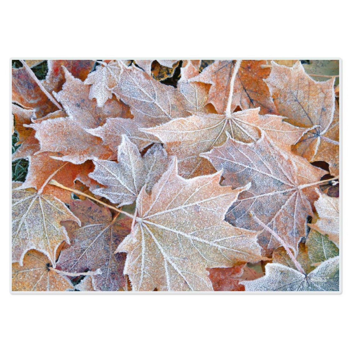 Artipics Placemats Frost Leaves Pack of 4 Autumn Winter Placemats Wipe Clean Made of Plastic 42 x 30 cm Placemats Table Decoration For Kitchen/Dining Area/Guests/Indoors/Outdoors
