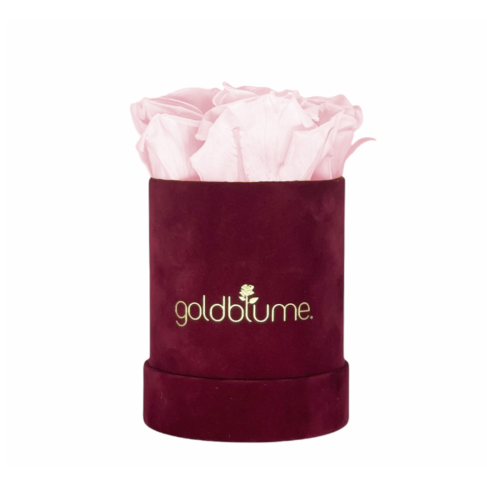 Collection Velours Bordeaux