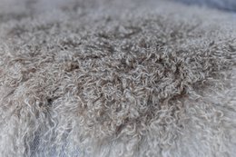 Tybetańska kożuch | 14 kolorów