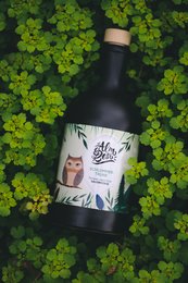 Dark glass bottle with a label featuring a cat illustration and the text "Schlummertrunk". The bottle is surrounded by lush green leaves.