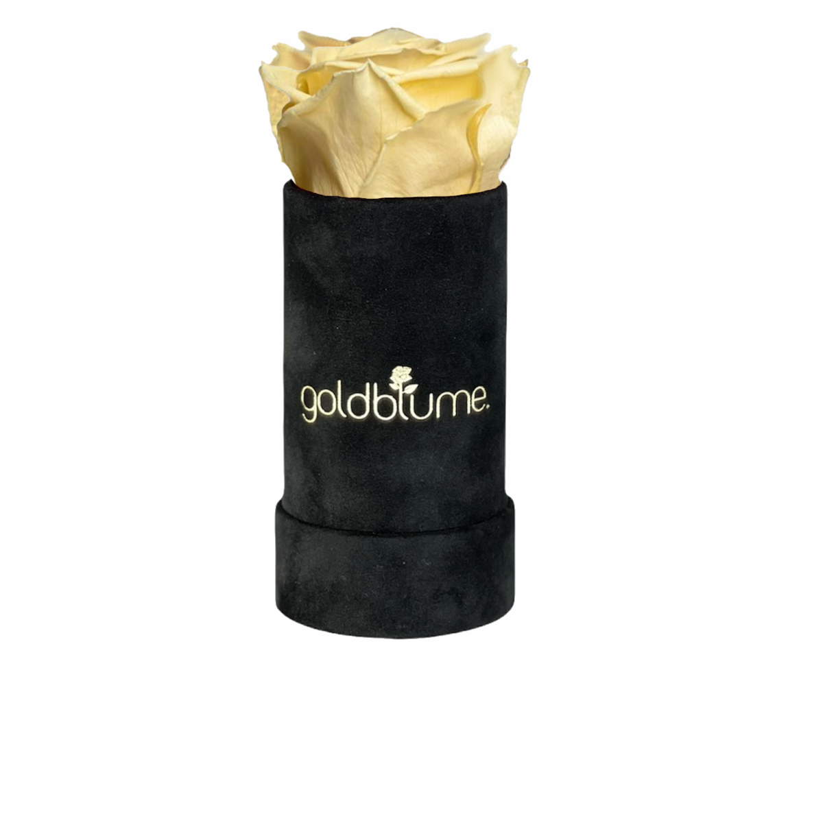 Velvet Black-collectie