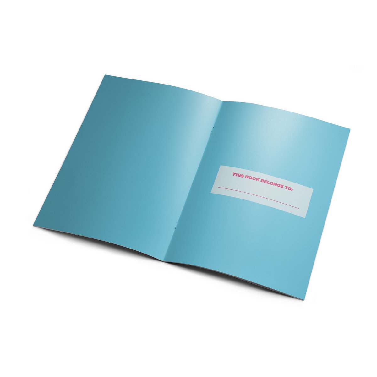 Cahier d'activités de Taylor
