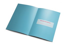 Cahier d'activités de Taylor