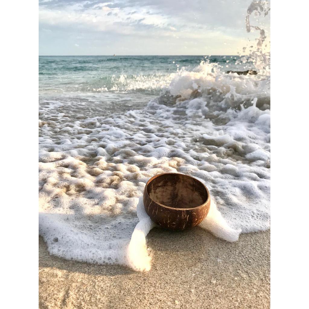 Father's Day Large Gift Pack Coconut Bowls | 2 bowls + 2 spoons