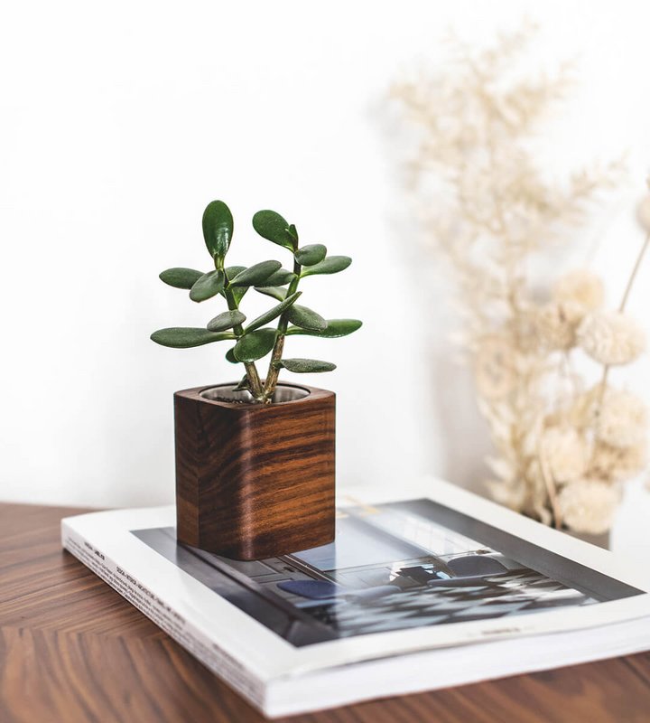 Square Planter