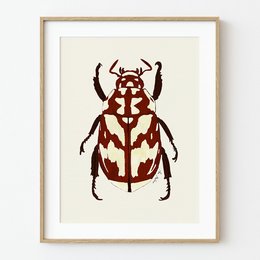 A vibrant, red and black beetle art print with a striking, geometric pattern. The print features a large, detailed beetle with distinct antlers and a bold, symmetrical design.