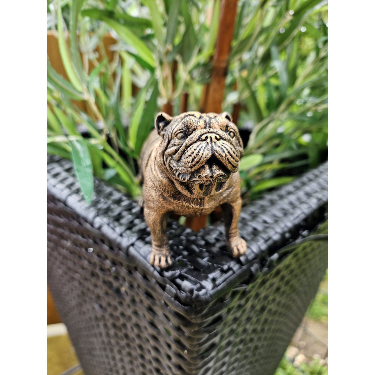 Figur Englische Bulldogge