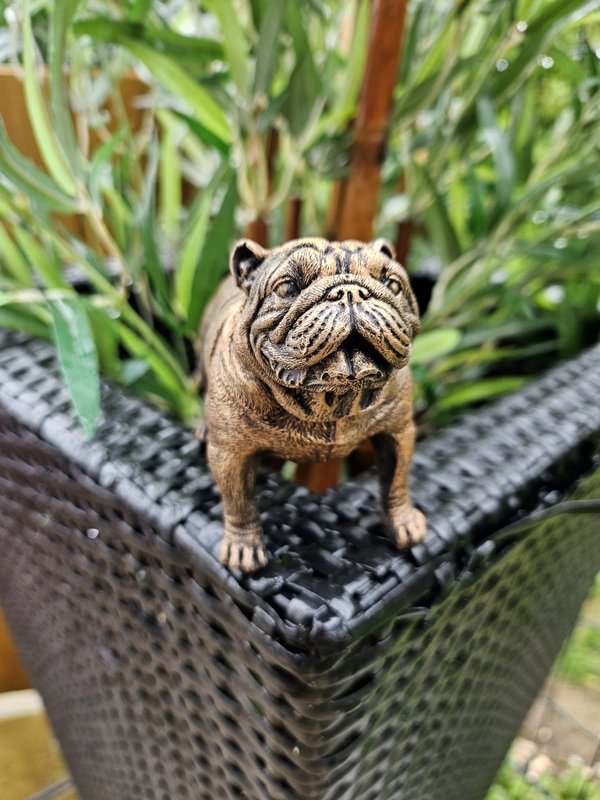 Figurine Bouledogue Anglais
